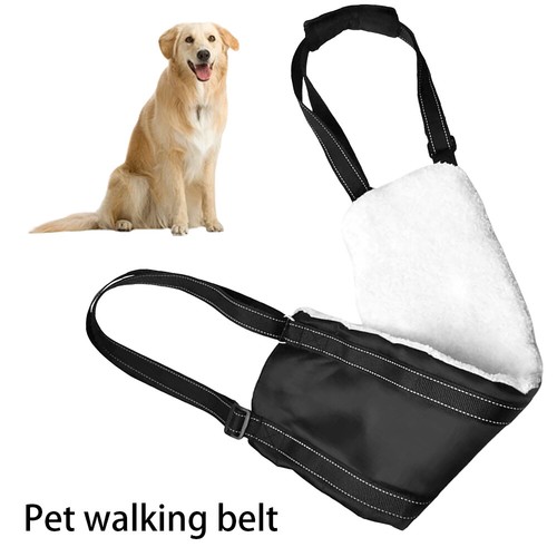 Large dog mobility aids - large,