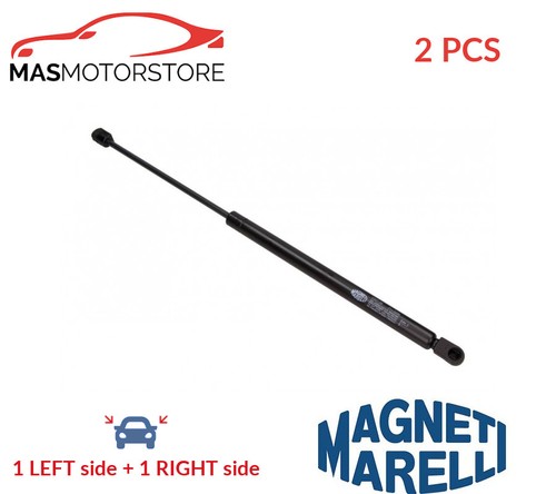 Tailgate boot struts - boot, rear