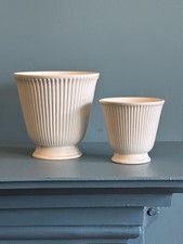 Two Wedgewood Moonstone Plant