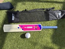 Cricket bat and training ball - bat,