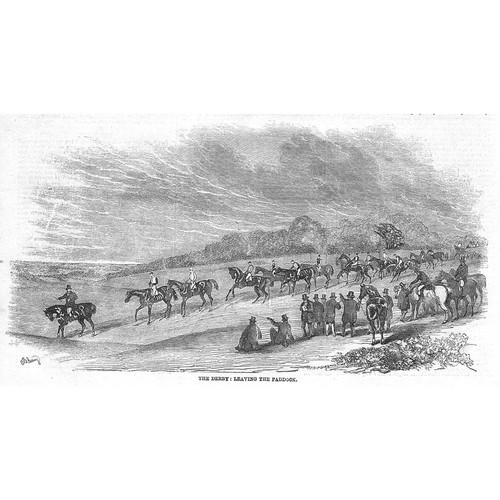 Horse racing the - racing, derby
