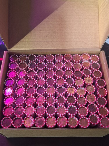 Rolls of pennies - 10,