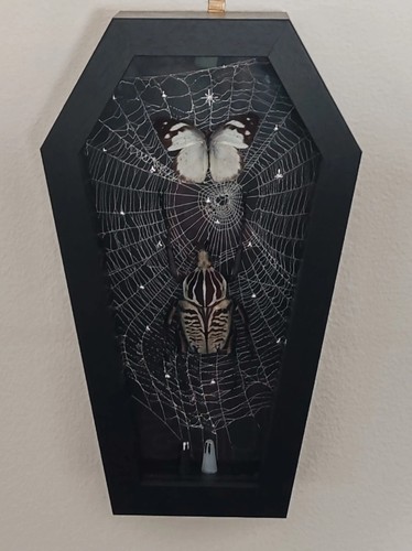 Coffin framed goliathus - coffin,