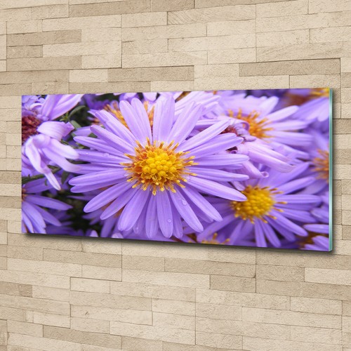 Glass print wall art - art, image