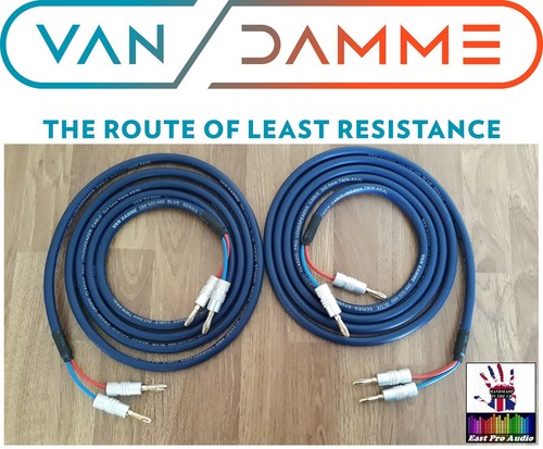 Van damme blue - van, studio