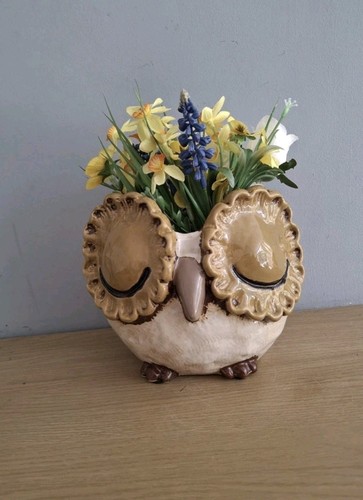Sleepy owl planter plant pot - sleepy,