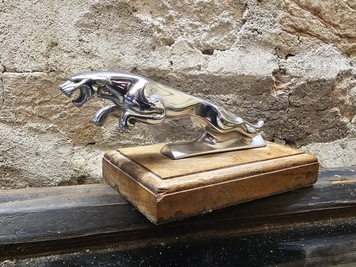 Vintage jaguar car bonnet - jaguar,