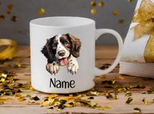 English Springer Spaniel Dog