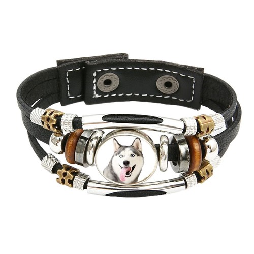Husky dog pet family - pet, brown