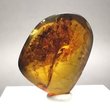 6.42ct Burmese Amber w. Plant
