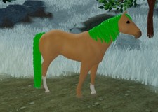 Wild Horse Islands RC Palomino