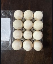 12 BYM Fertile Duck Hatching