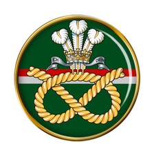 Staffordshire Regiment, British Army Pin Badge
