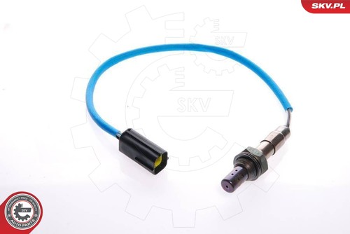 Esen skv 09skv001 oxygen - esen,