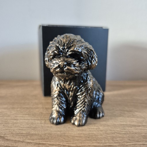 Teddy dog labradoodle style - teddy,