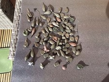 Job Lot Bundle Of 86 Carp