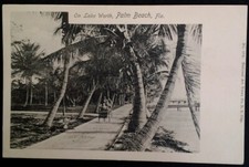 Palm Beach  Florida Postcard