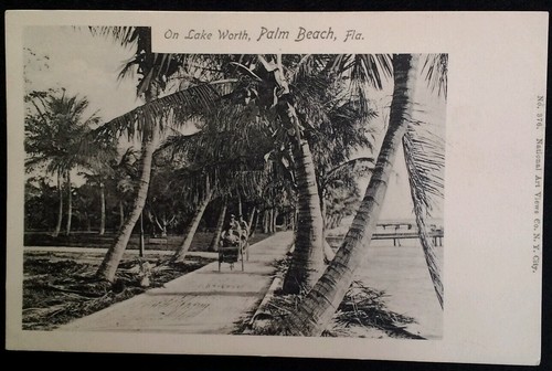 Palm beach florida - beach, postcard