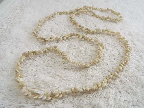 Mini shell necklace - mini,