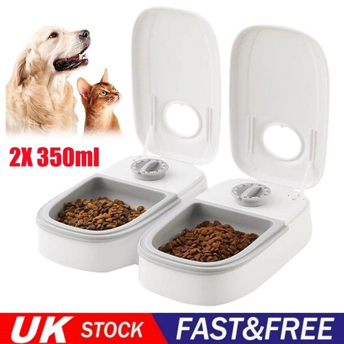 2pcs automatic wet - automatic, cat