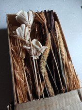 DRIED FLOWERS NATURAL & BROWNS