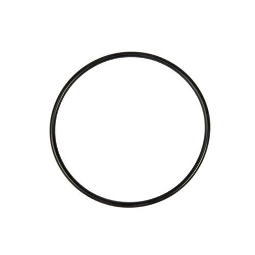 Bestway flowclear pump gasket - pump,