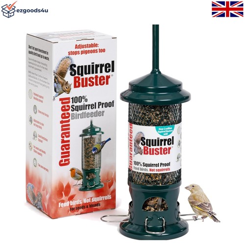 Squirrel proof bird - bird, feeder