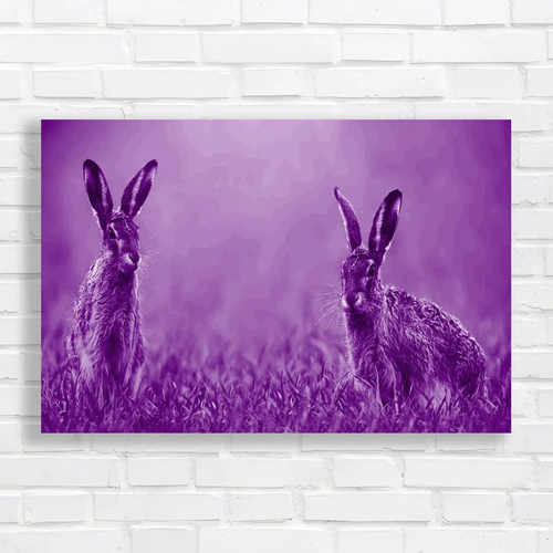 Easter bunny hares wildlife - hares,