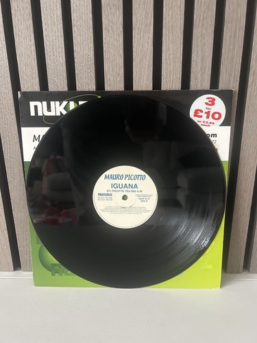 Mauro picotto iguana - picotto,