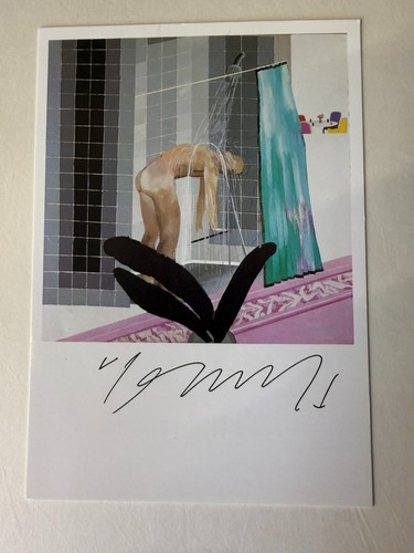 David hockney artist signed - artist,