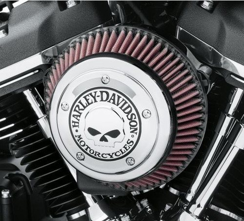 Harley davidson willie - davidson, g