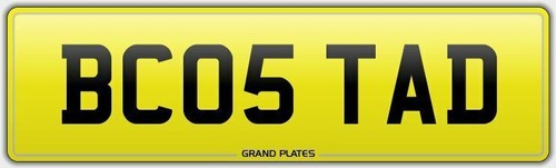 Tads taddy tadd number - taddy,