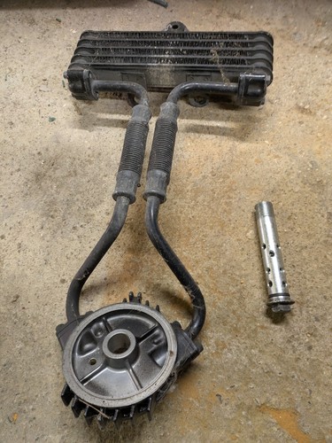 1981 honda nighthawk 650 - 1981,