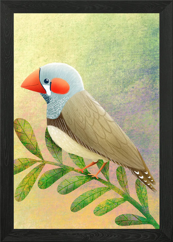 Zebra finch framed wall art - framed,