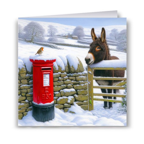 Donkey robin christmas card - donkey,
