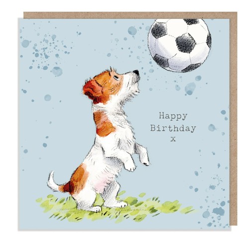 Birthday card quality - -,