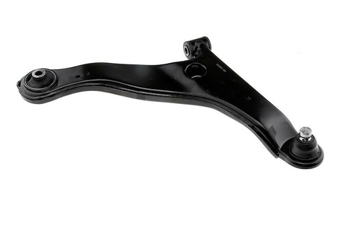 For grandis lower right front - for,