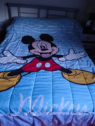Disney mickey mouse single - disney,