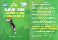 RSPB Pin Badge Save the