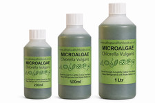 250ml chlorella green water - chlorella,