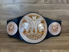 WWE Tag Team Champion Championship Wrestling Kids Belt Mattel Toys 2010