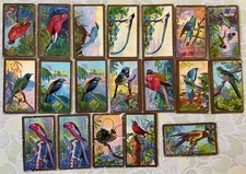 19 CIGARETTE CARDS CAVANDERS