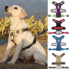Big Dog Harness No Pull