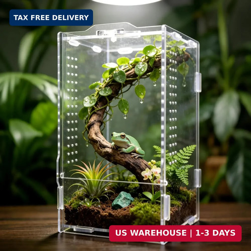 Jumping spider enclosure - jumping,