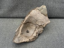 Ichthyosaur Partial Vertebra