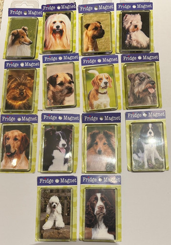 Dog various breeds - dog,