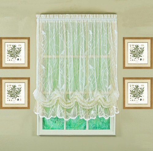 Today curtain songbird - today's,