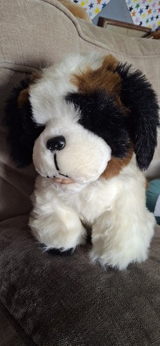 Bernard dog plush vgc - st, plush..