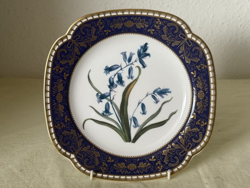 Spode the cabinet collection - spode,