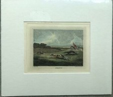 Original Antique Matted Hunting Print S Howitt Coursing 2 Long Dogs Rabbit